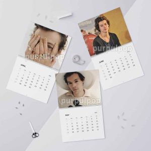 Harry Styles 2025 Calendar