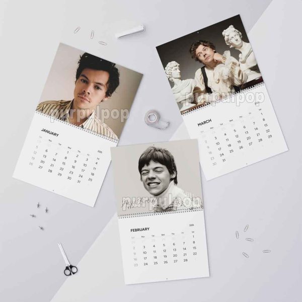 Harry Styles 2025 Calendar